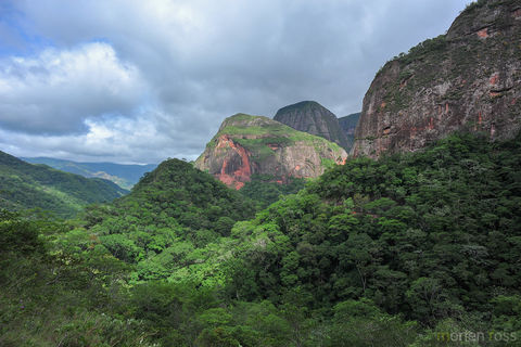 Bolivia Amboro National park