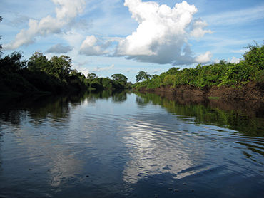 Yacuma-rivier Bolivia