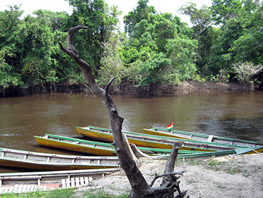 Amazone Bolivia