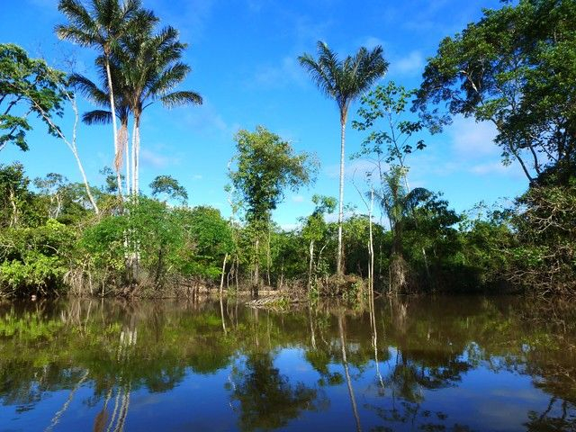 Peru Amazon river