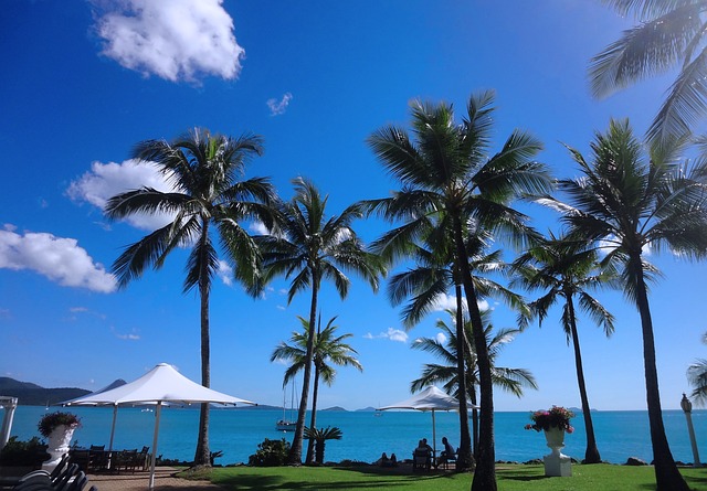 Arlie Beach Strand Australië