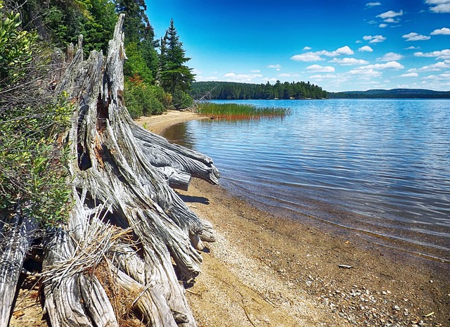 algonquin Park Canada