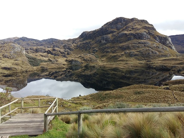 Cajas National Park Ecuador