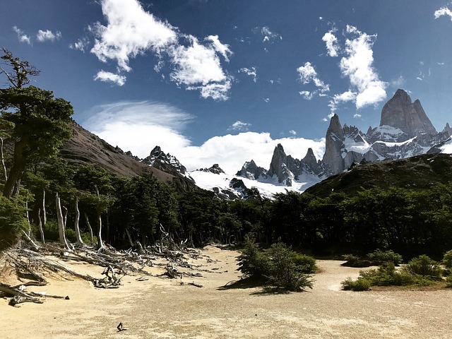 Patagonië Argentinië