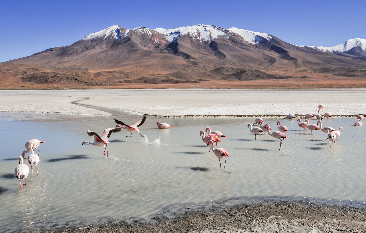 Vulkaan meer Bolivia vakantie