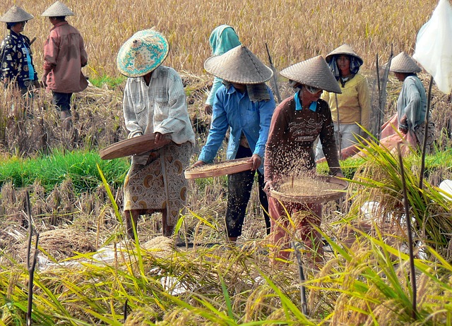 Indonesië Rondreis