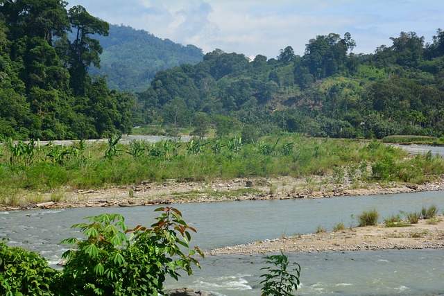 Indonesië