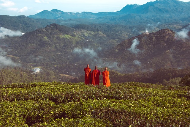 Monks Monniken Sri Lanka Ella