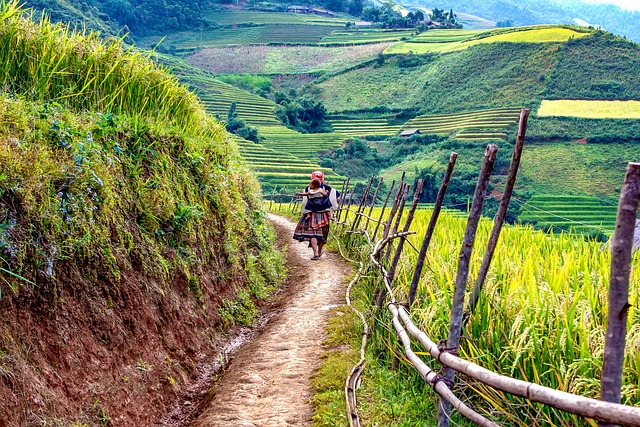 Mu Cang Chai Vietnam Rondreis