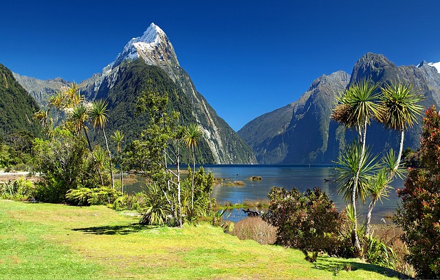 Fiordland National Park Nieuw Zeeland