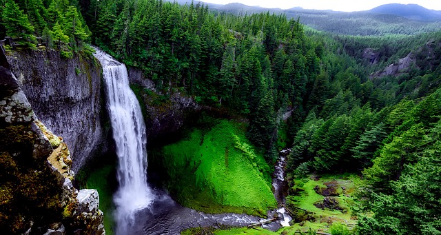 Salt Creek Falls Panama