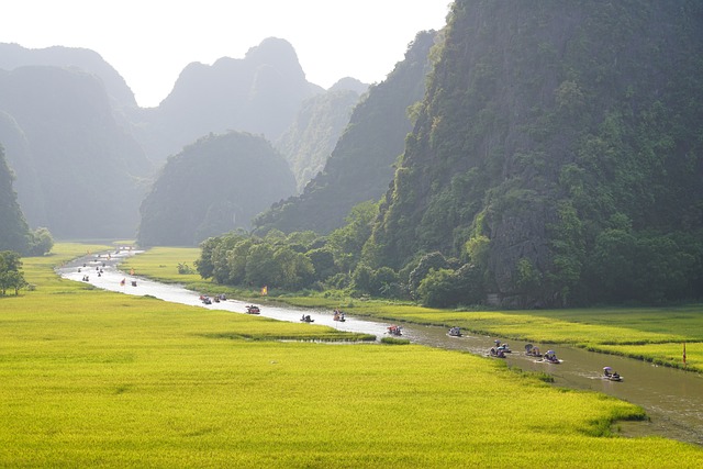 Long Coc Matcha Hills Vietnam