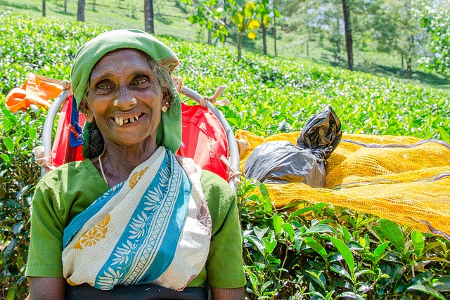 Nuwara Eliya Sri Lanka