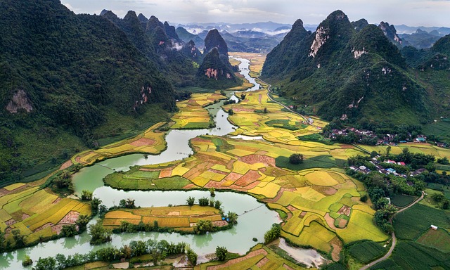 Fairy Stream Vietnam