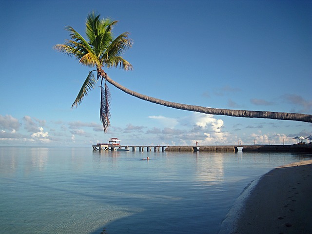 Sulawesi Indonesië Rondreis