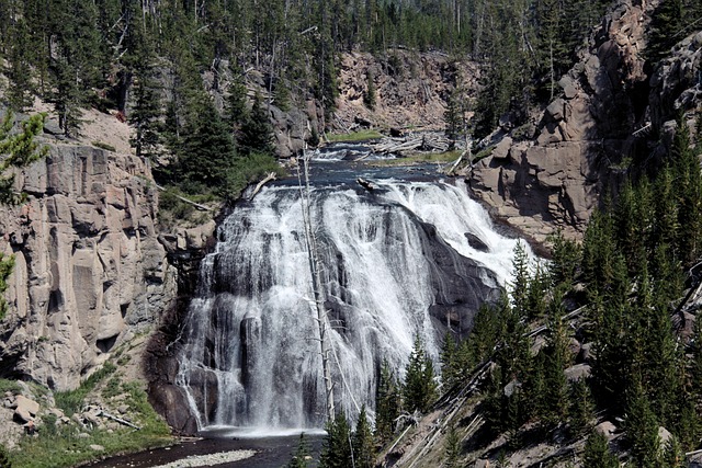 Yellowstone National Park USA Amerika Rondreis