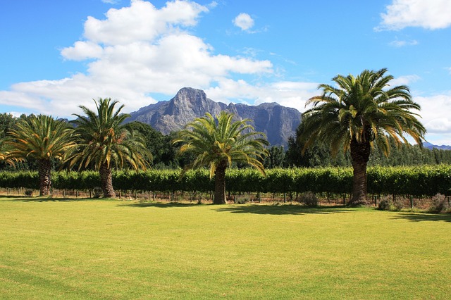 Franschhoek Zuid Afrika Rondreis