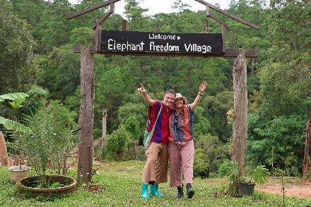 Elephant Freedom Village Olifanten Thailand