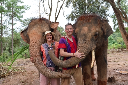Elephant Freedom Village Olifanten Thailand