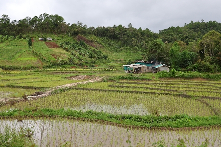 Thailand Rondreis Maatwerkreizen Selfdrive