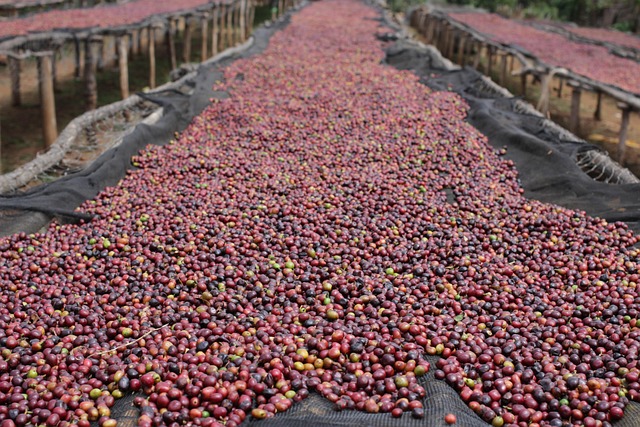 Colombia Koffie