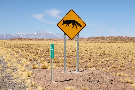 Chili Atacama woestijn Rondreis San Pedro Lagunas