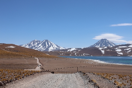 Chili Atacama woestijn Rondreis San Pedro Lagunas Altiplánicas Miscanti Miñiques