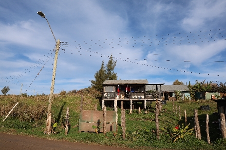 Paaseiland Rapa Nui Easter Island Chili Moai