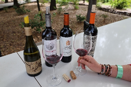 Rondreis Chili Argentinië Maatwerkreizen Santiago Valparaiso Wijnproeverij