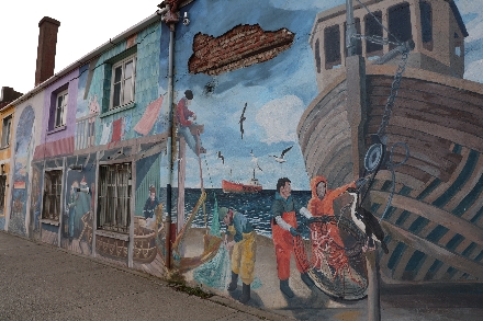 Chili Rondreis Patagonie Isla Magdalena Punta Arenas