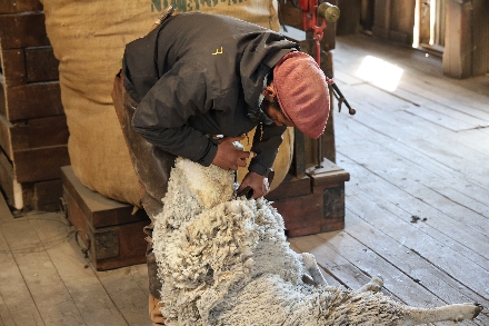 Argentinië Patagonië El Calafte Rondreis hiken gletjers watervallen Estancia