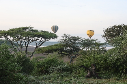 Tanzania Afrika Rondreis Serengeti Maasai Tarangire Familiereis Safari Ngorongoro